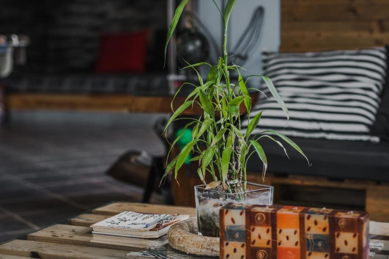 The Modern & Recycled House Apartment *